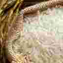 Alavi rice sorting business Alavi rice sorting business