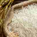 Sorting Alavi rice, selling Tarem Hashemi Iranian rice in Mahmoudabad, Mazandaran