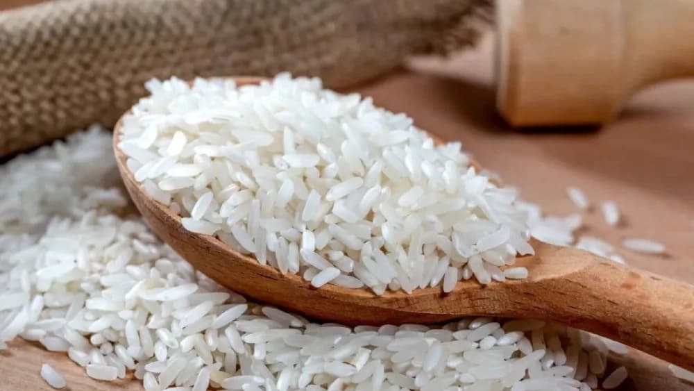 سورتینگ برنج در محمودآباد