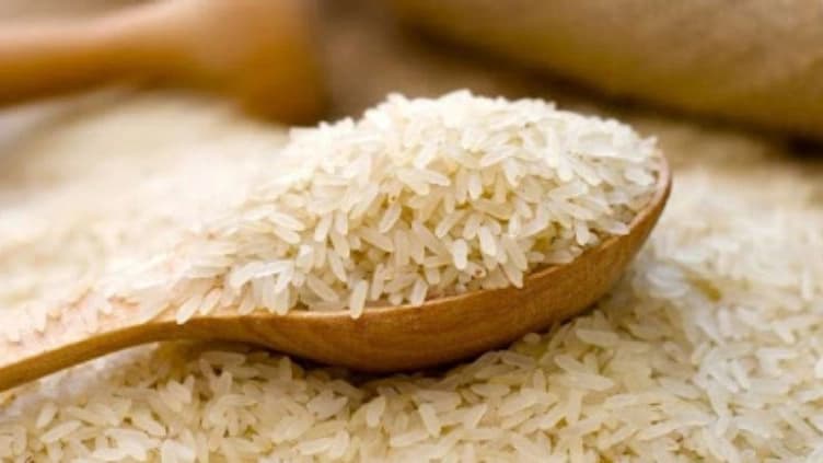 سورتینگ برنج در محمودآباد